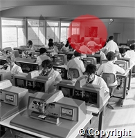 b5\cc0a0a-fc9e-4c79-aafe-173cab19f4ba.jpg